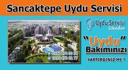 sancaktepe uydu servisi