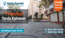 sancaktepe uydu servisi